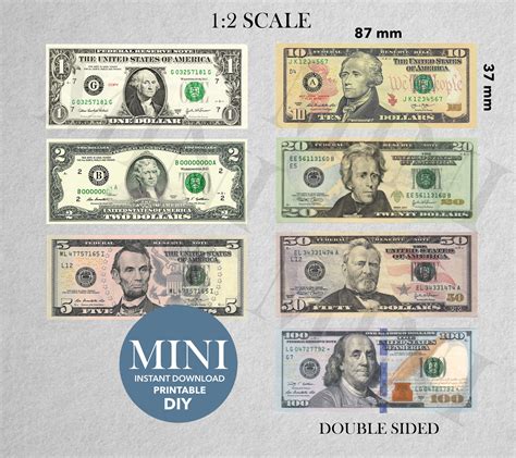 Ashley US Dollar Bill Set Die-Cut Decorative Magnet, Multicolor ...