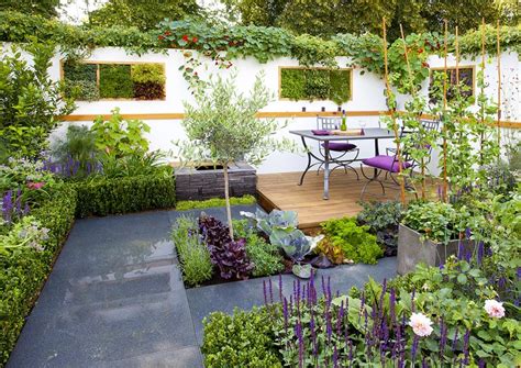 How to Decorate Your Patio with Plants