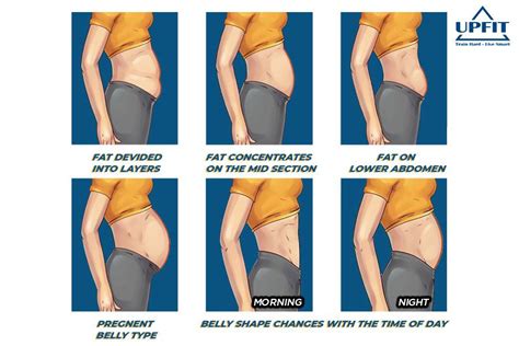 5 TYPES OF BELLY FAT DUE TO DAILY ROUTINE | UPFIT