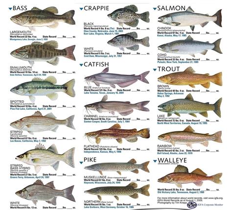 Types of Fish - Freshwater Fishing