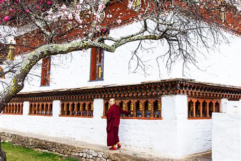 Bhutan Monasteries | Top 9 Monasteries in Bhutan 2024