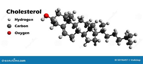 Cholesterol stock illustration. Illustration of atherosclerosis - 50196497