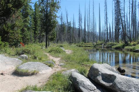 Loon Lake Trail photo || SINGLETRACKS.COM