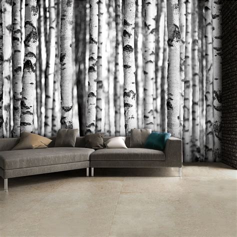 Black and White Birch Trees Wall Mural | 315cm x 232cm | Wit behang ...