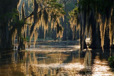 Our Guide to Boating the Bayou