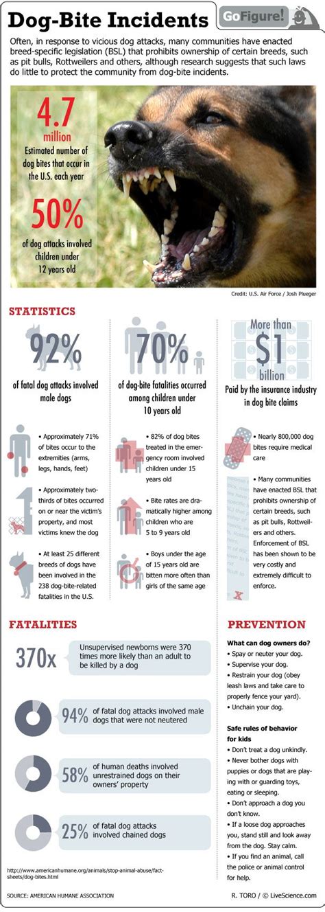 When Dogs Bite (Infographic) | Live Science