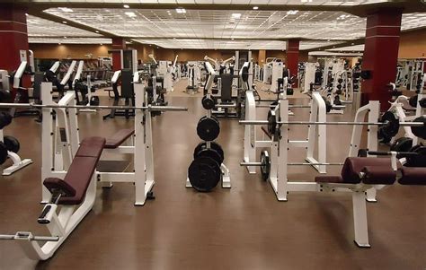 gym equipment, machines, weight, weights, lifting weights, gym ...