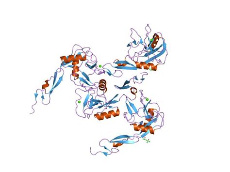 P-Selectin; Antigens, CD62P; CD62P Antigens; GMP-140; LECAM-3; P ...