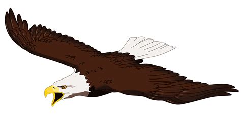 Free Eagle With Transparent Background, Download Free Eagle With ...