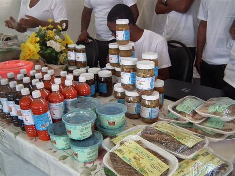 Caribbean Sisters In Agricultural Development : Guyana School of ...