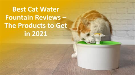 Best Cat Water Fountain Reviews: 2021 Top Picks