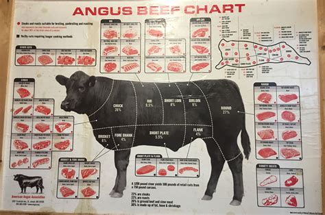 Beef Cuts Of Meat Butcher Chart Cattle Diagram Poster Metal Sign Kitch ...