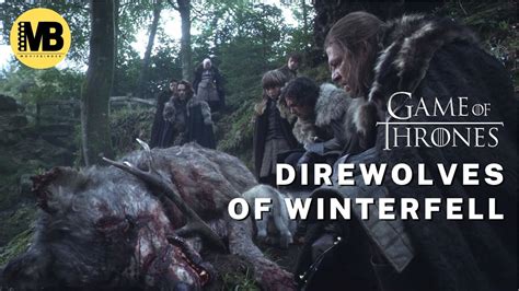 Ned Stark Jon Snow Find Dead Direwolf and her Pups - Game of Thrones ...