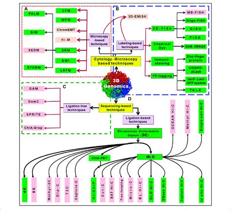 | An overview of 3D genomics techniques. The techniques can be broadly ...