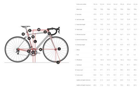 What Is Bike Geometry? - I Love Bicycling