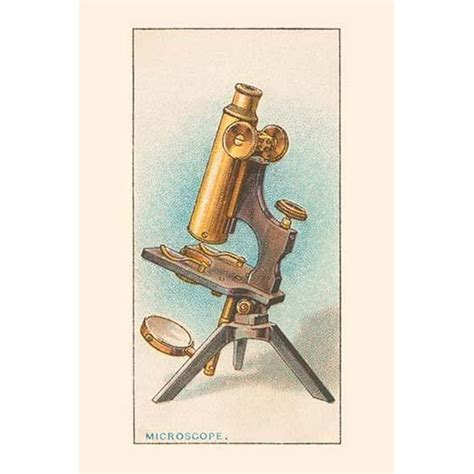 The compound microscope was first devised by a spectacle maker of ...