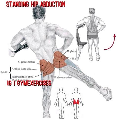 Standing hip abduction via @gymexercises Cardio Workout, Workout Food ...