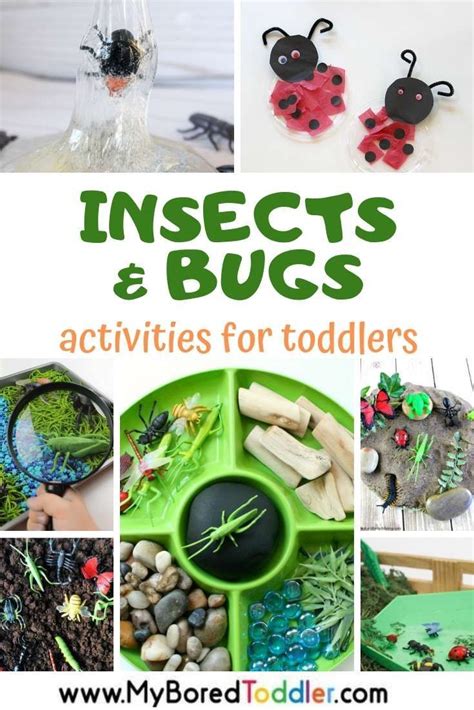 Insects and Bugs Activities for Toddlers | Insect activities, Bug ...