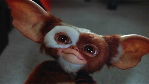 'Gremlins' Director Calls Out Disney In Recent Comments - Inside the Magic