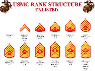 Catatan Harian Muh. Sirojul Munir: US Marine Corps Rank Structure