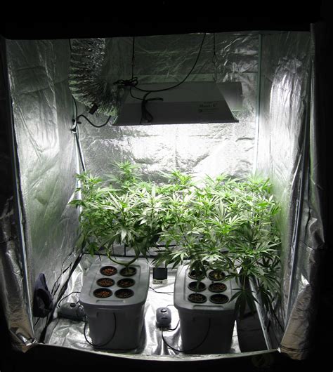 Examples of Common Cannabis Grow Setups | Grow Weed Easy