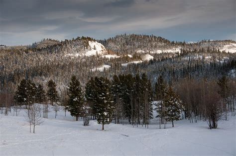 Winter Landscape Outside of Whitehorse, Yukon | Winter landscape, Yukon ...