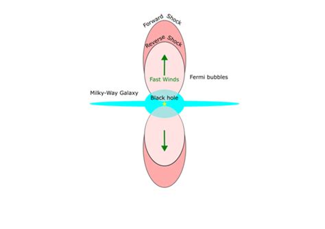 Proposed schematic for the for [IMAGE] | EurekAlert! Science News Releases