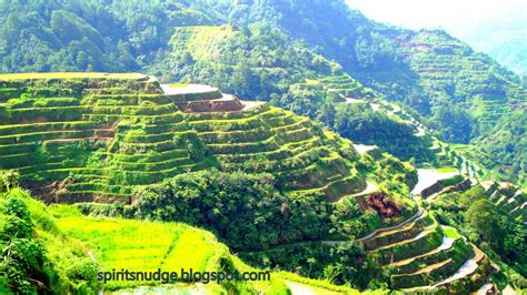 Banaue Rice Terraces: A Tour Like No Other