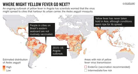 nature-yellow-fever-news-map-040216-online.jpg : Nature News & Comment