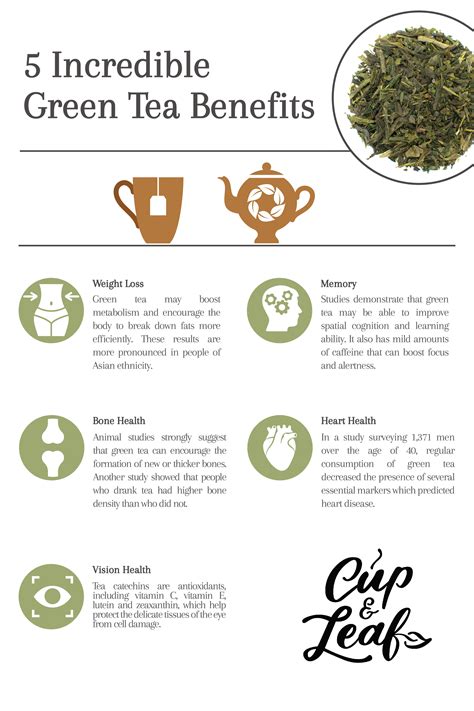 Benefits Of Green Tea To The Body - health benefits