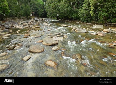 Kuala Woh, Tapah, Perak, Malaysia Stock Photo - Alamy