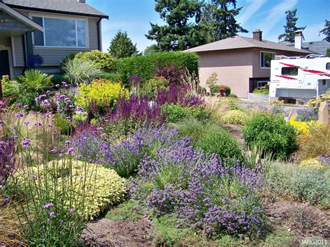 Pin by Cheron McAleece on Front Yard Planters | Drought resistant ...