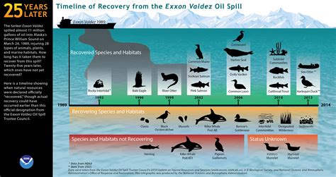 The Exxon Valdez, 25 Years Later