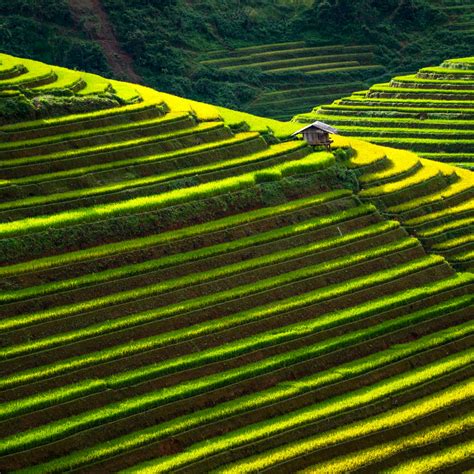 Green Ifugao Rice Terraces Wall Art | Photography