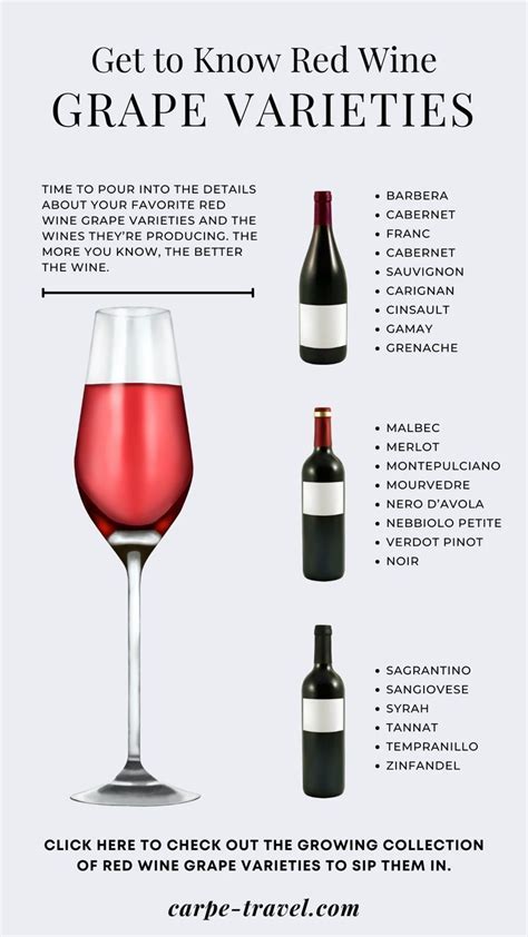 Get to Know Red Wine Grape Varieties | Recepten, Wijn