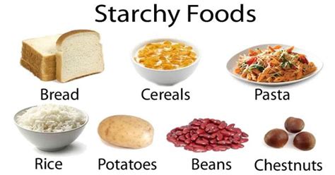 Starch - a complex carbohydrate - Assignment Point