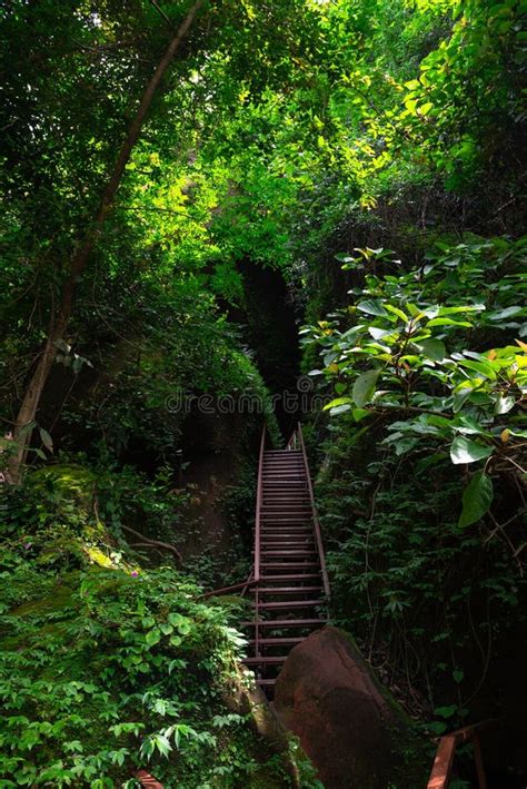 Naga Cave, Amazing of Naga Scales Rock Stone Mountain in Phu Langka ...