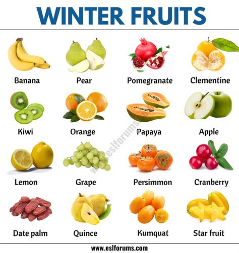 33 Winter Fruits: Different Types of Fruits You Can Find in the Winter ...