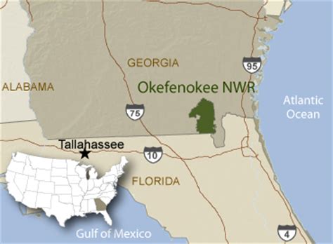 Visiting the Okefenokee Swamp - Gorp