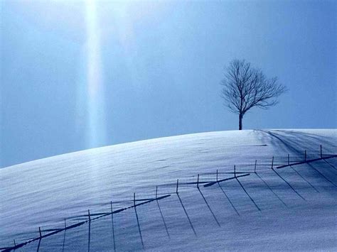 🔥 [50+] Snowy Fields Wallpapers | WallpaperSafari