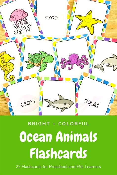 Ocean Animals Flashcards for ESL Ocean-Theme Vocabulary Activities ...