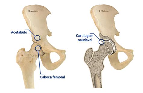 ANATOMIA DO QUADRIL