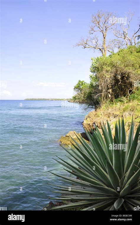 Kisite National Marine Park and Wasini Island Stock Photo - Alamy