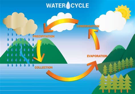 Water Cycle Diagram Vector 99515 Vector Art at Vecteezy