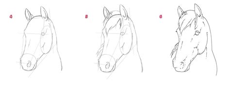 Horse Head Drawing Step By Step - Draw Horse | Boddeswasusi