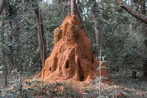 House modeled after termite mounds built in Africa - Hitecher