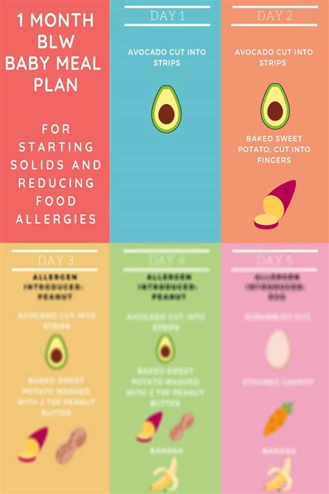 Baby Led Weaning Meal Plan for 6-12 Month Old Babies | A Dietitian's ...