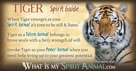 Tiger Spirit Totem Power Animal Symbolism Meaning - What Is My Spirit ...