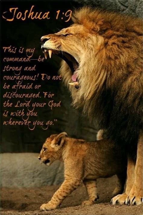 Pin by Grandma on A Faith | Lion of judah, Bible, Bible verses