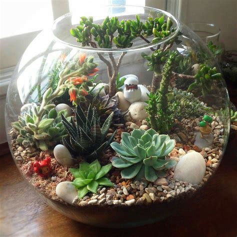 23 Mini Succulent Garden | Succulent garden indoor, Succulent garden ...